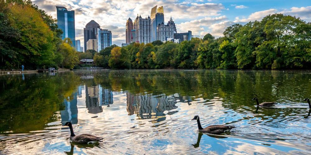 Apartament Paradisiacal Piedmont Park Flat Atlanta Zewnętrze zdjęcie